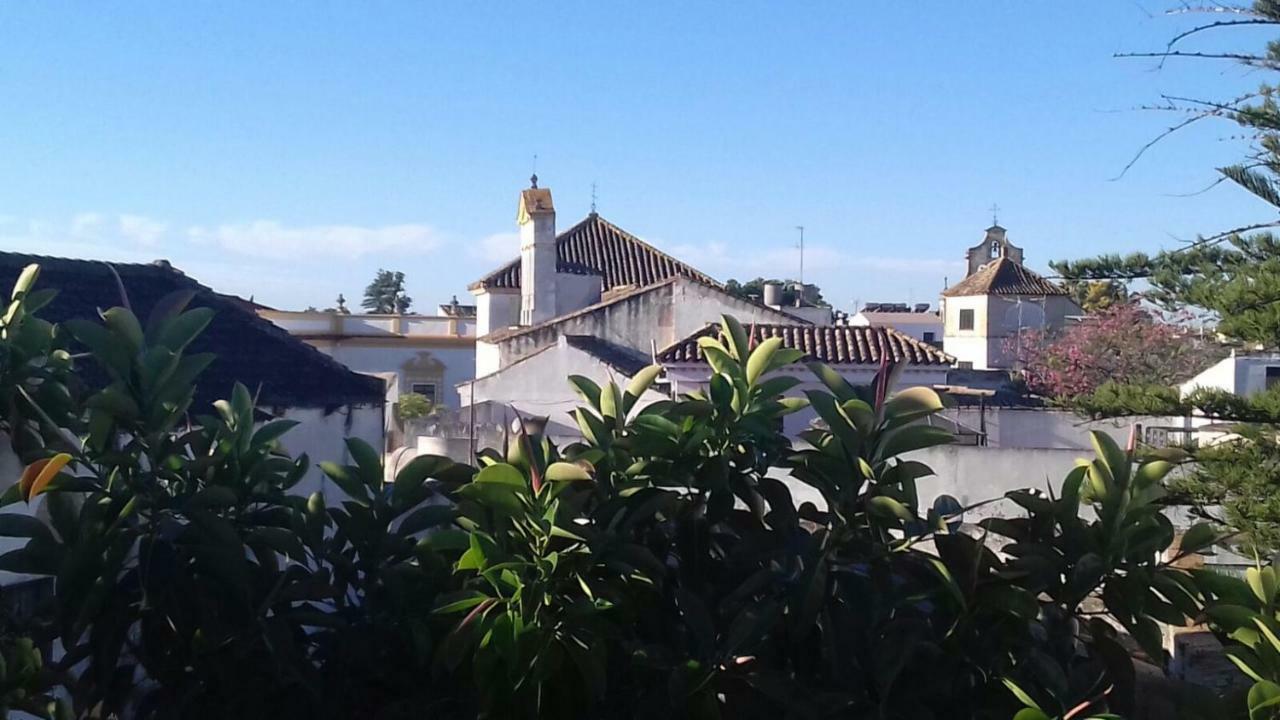 Piso En Centro Historico Daire Jerez de la Frontera Dış mekan fotoğraf